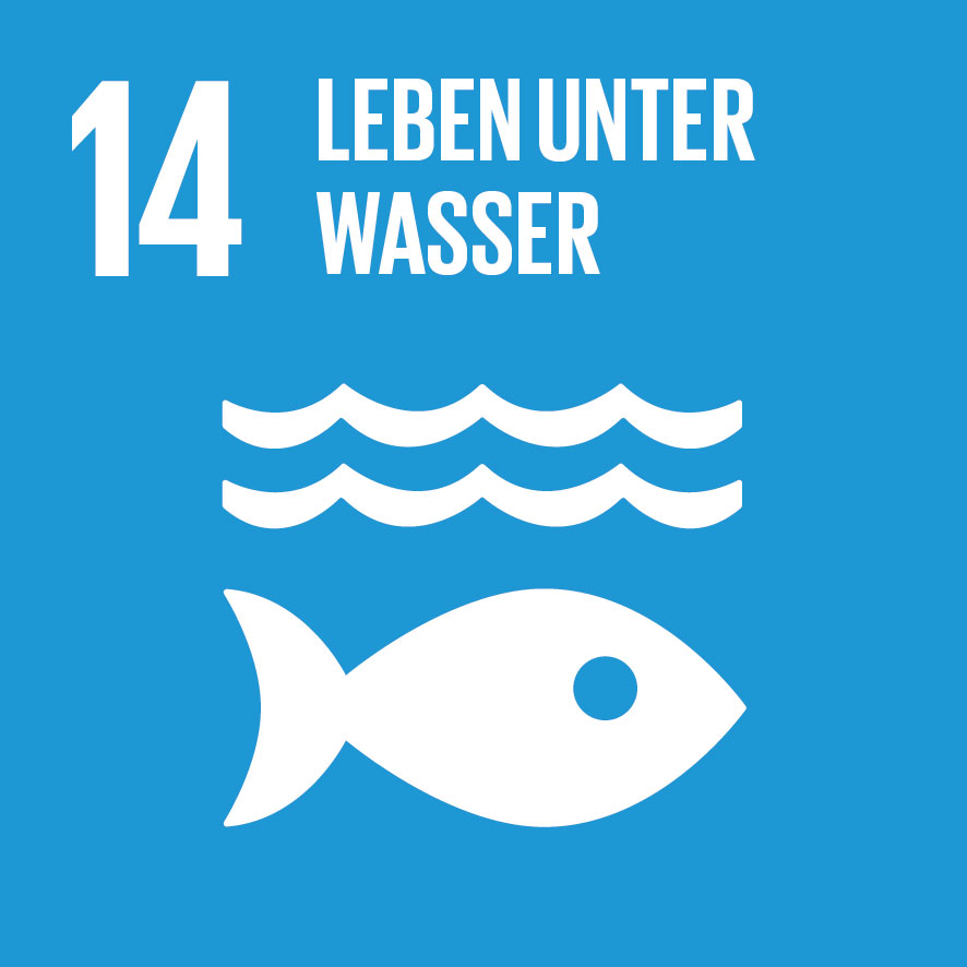 KI generiert: Das Bild zeigt Symbol und Text für das 14. Nachhaltigkeitsziel der Vereinten Nationen: "Leben unter Wasser". Es enthält eine Grafik eines Fisches und stilisierte Wasserwellen auf blauem Hintergrund.