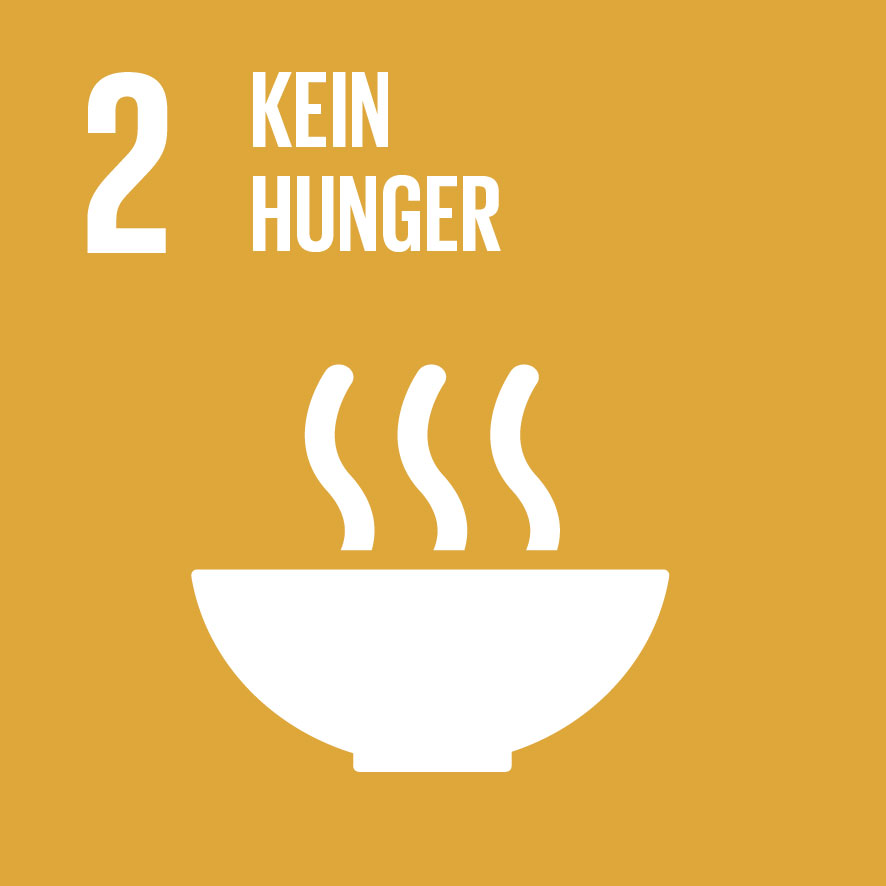 KI generiert: Das Bild zeigt das Icon für das UN-Nachhaltigkeitsziel Nr. 2: "Kein Hunger". Es besteht aus einer dampfenden Schüssel auf einem orangenen Hintergrund.