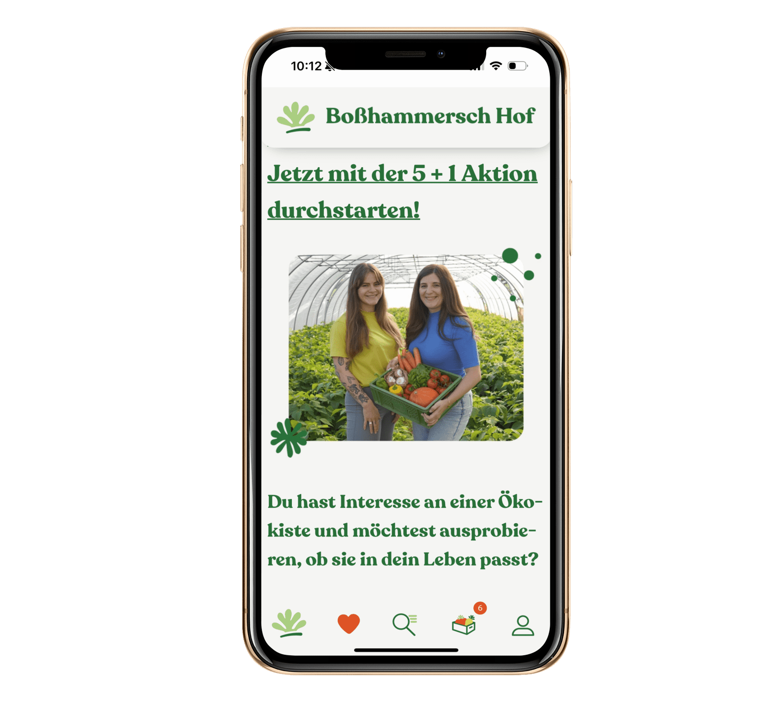 Iphone Mockup Bosshammersch Hof PWA
