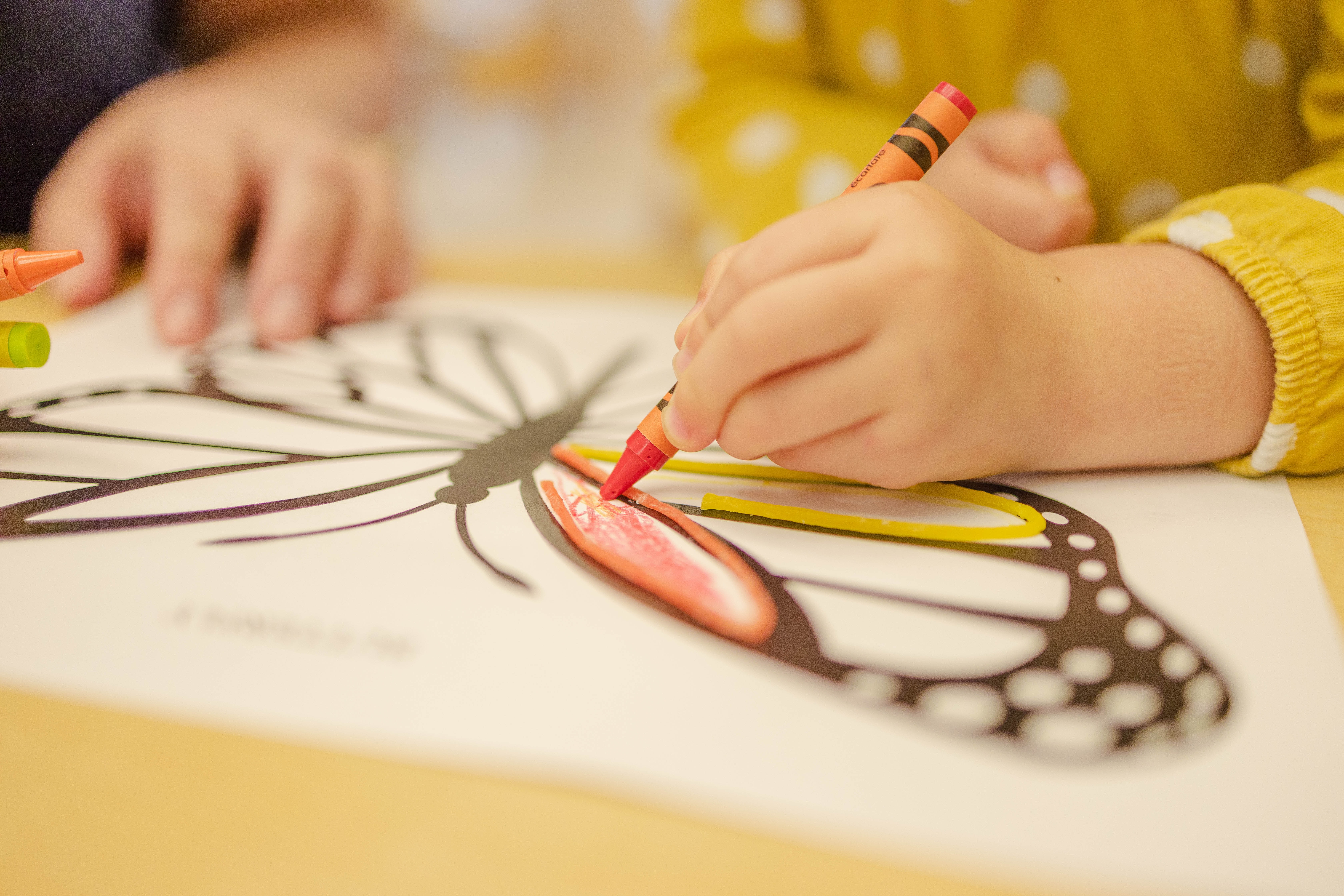 Foto einer Kinderhand, die mit einem Stift die Kontur eines Schmetterlings ausmalt