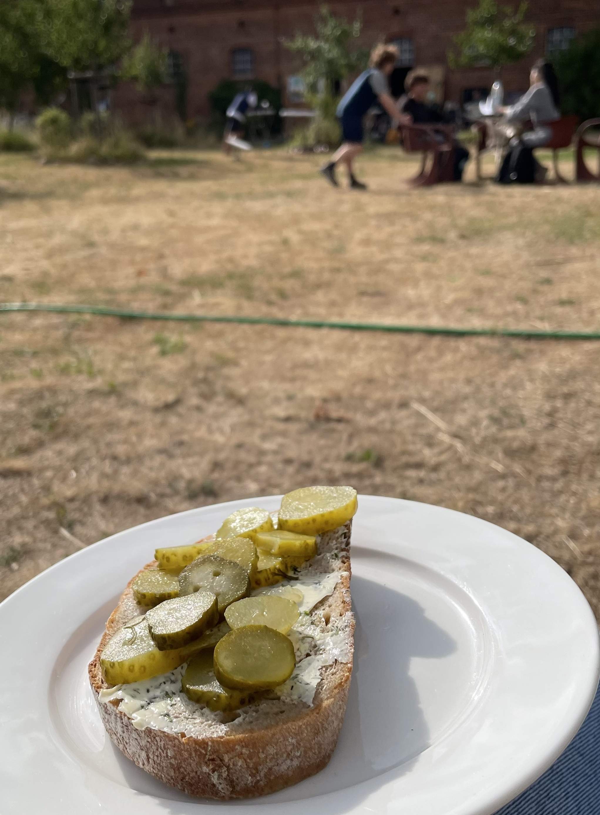 Lecker Spreewaldgurken auf Brot 