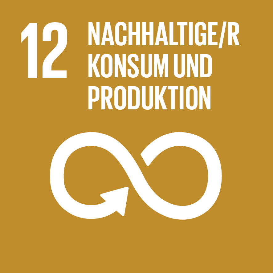 KI generiert: Das Bild zeigt das Symbol für das 12. Ziel der nachhaltigen Entwicklung: "Nachhaltige/r Konsum und Produktion", dargestellt durch ein Unendlichkeitszeichen mit einem Pfeil. Es fördert verantwortungsbewusste Produktions- und Konsummuster.