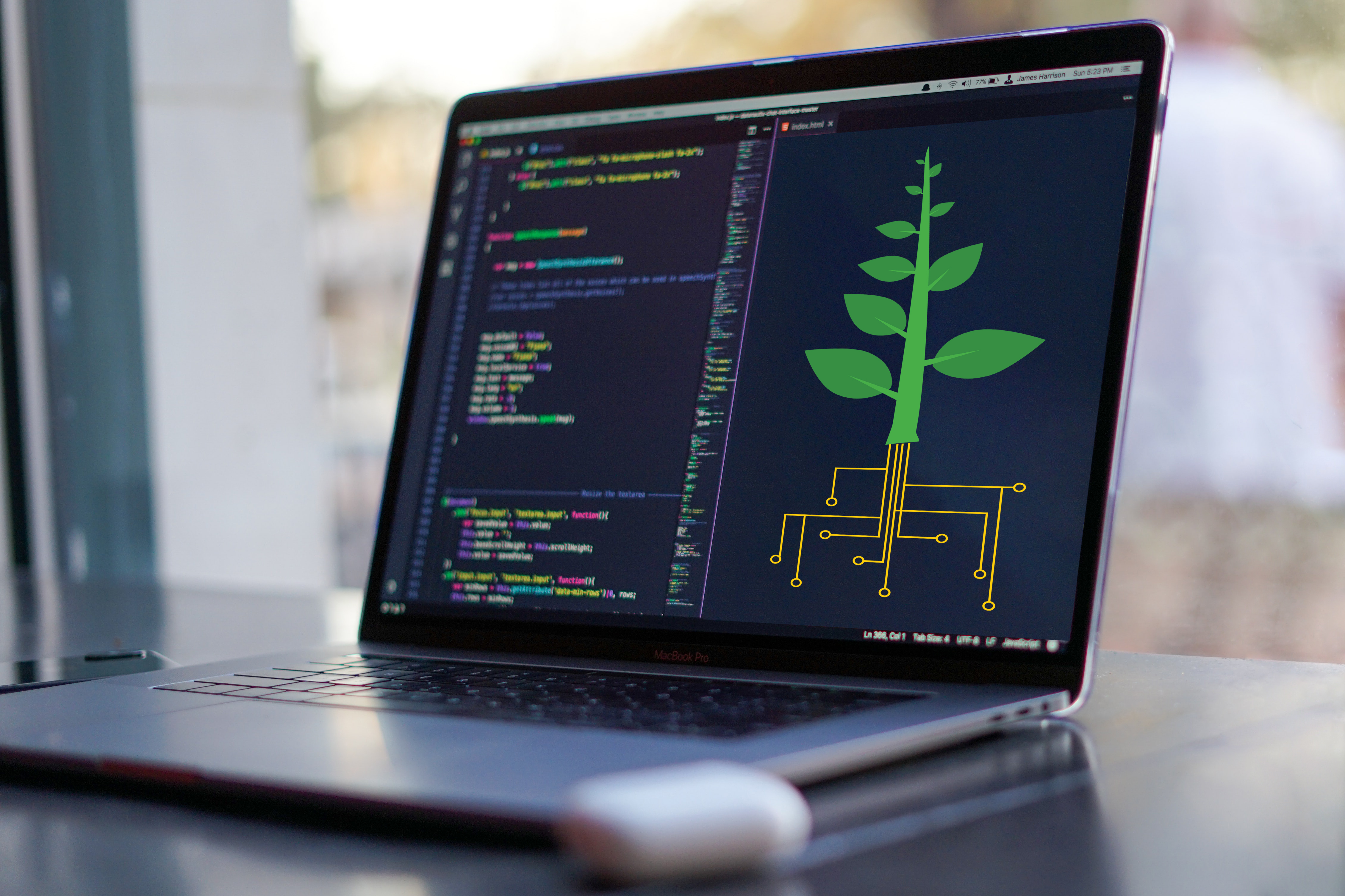 Foto eines Macbooks, auf dem Quellcode und eine illustrierte Pflanze zu sehen sind