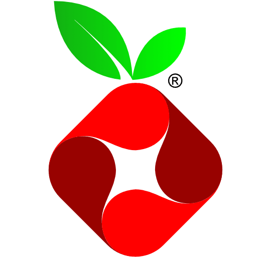 Rasperry Pi Hole Logo