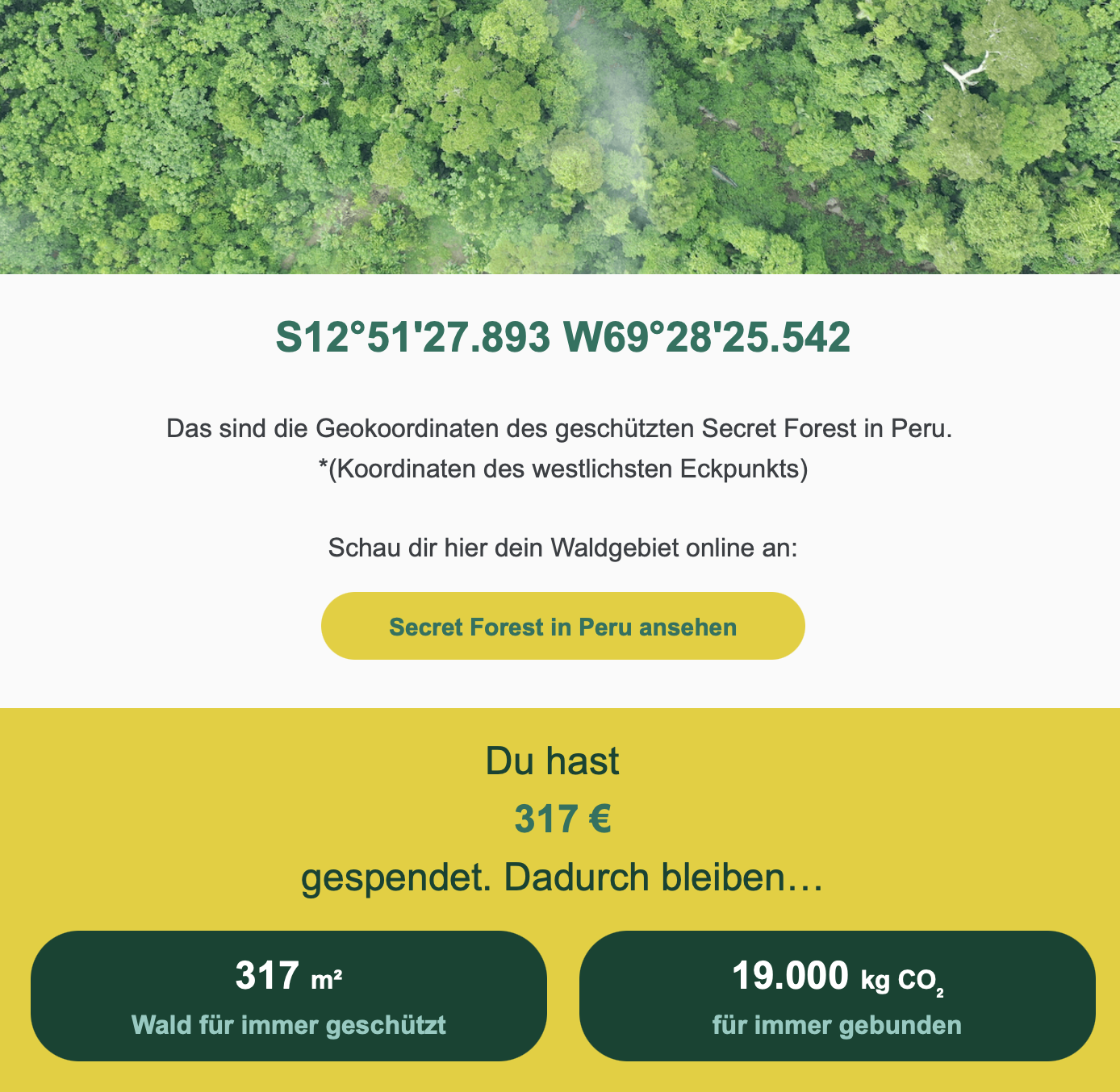 KI generiert: Das Bild zeigt die Geokoordinaten und Informationen über den geschützten Secret Forest in Peru. Es wird angezeigt, dass durch eine Spende von 317 € insgesamt 317 m² Wald geschützt und 19.000 kg CO₂ gebunden werden.