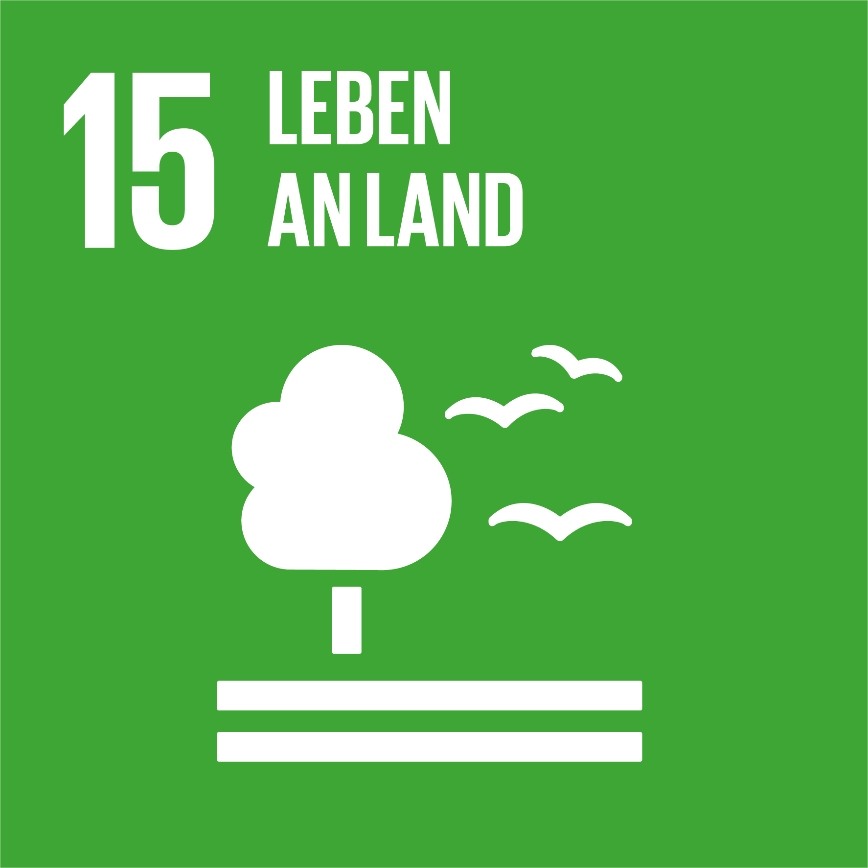 SDG 15: Leben an Land