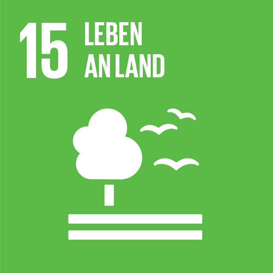 KI generiert: Das Bild zeigt ein grünes Symbol mit der Nummer 15 und dem Text "Leben an Land", das auf die Erhaltung und nachhaltige Nutzung von Ökosystemen an Land hinweist. Ein stilisierter Baum und fliegende Vögel sind ebenfalls abgebildet.